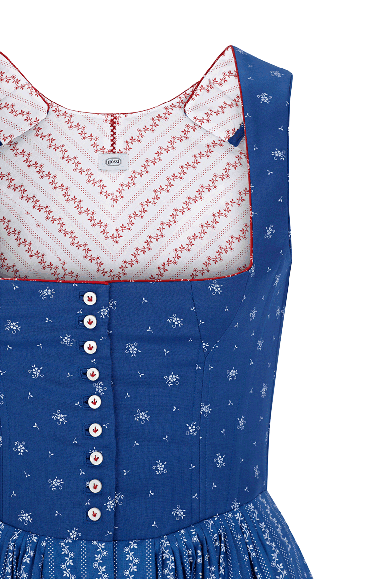 Ranken Dirndl - Image 5