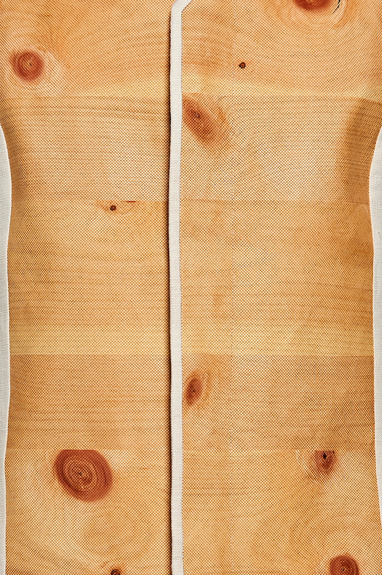 The power of the Swiss stone pine - Image 4