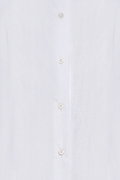 White/white tendrils - thumbnail 4