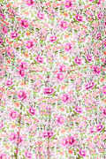 Blumenkind - thumbnail 4