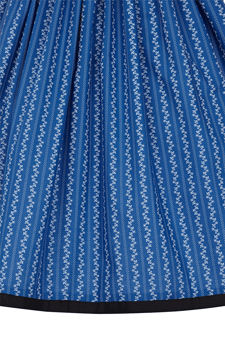 Ranken Dirndl - Image 4