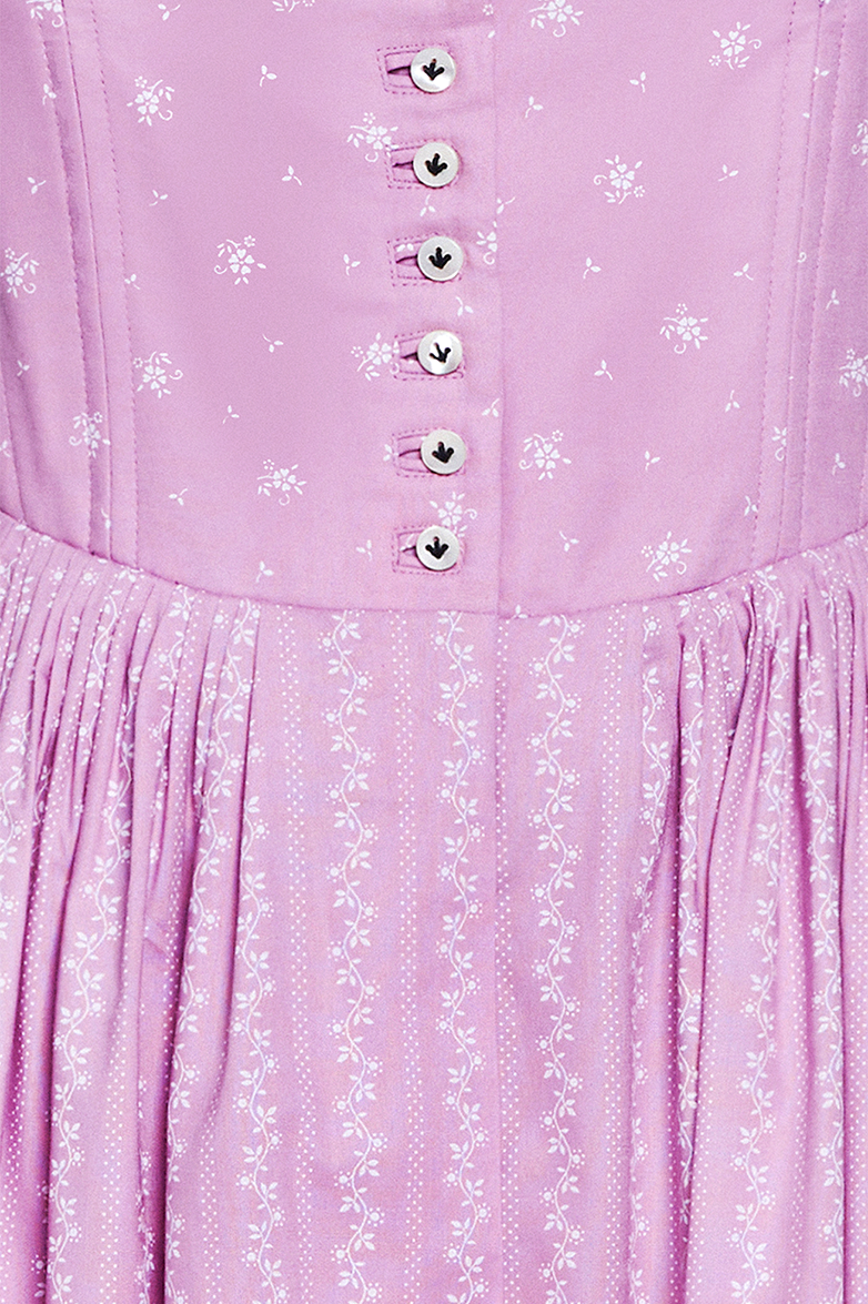 Ranken Dirndl - Image 19